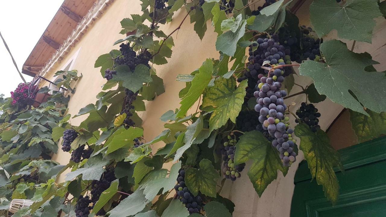 Scaccia Pensieri Villa Cerchio Exteriör bild